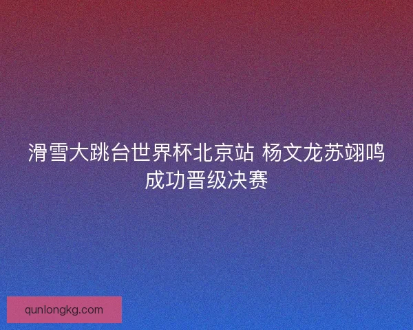 滑雪大跳台世界杯北京站 杨文龙苏翊鸣成功晋级决赛